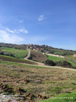 land-sell-boumerdes-larbatache-algeria