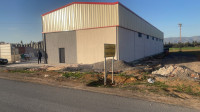 hangar-location-bouira-algerie