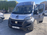 automobiles-fiat-ducato-2023-l2h2-kolea-tipaza-algerie