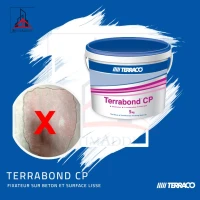 FIXATEUR SUR BETON ET SUPPORT LISSE TERRABOND CP 5KG 
