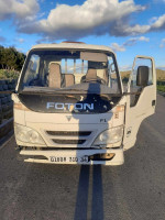 truck-foton-2010-teniet-en-nasr-bordj-bou-arreridj-algeria