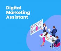 تجاري-و-تسويق-assistante-marketing-digital-a-domicile-القبة-الجزائر