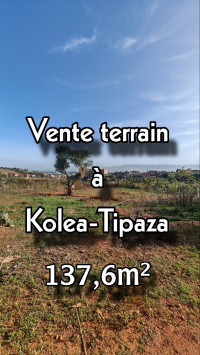 terrain-vente-tipaza-kolea-algerie