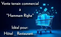 Vente Terrain Aïn Defla Hammam righa
