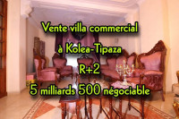 villa-vente-tipaza-kolea-algerie