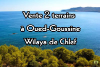 terrain-vente-chlef-oued-goussine-algerie