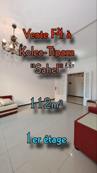 appartement-vente-f4-tipaza-kolea-algerie