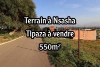 terrain-vente-tipaza-attatba-algerie