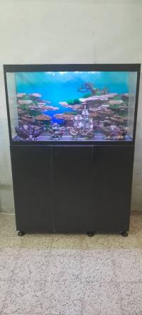 Aquarium avec meuble Haute Finition 1m