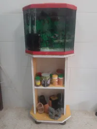 Aquarium avec meuble 45 litres, Poissons et accessoires 