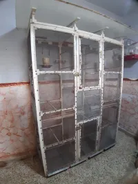 Cage volière pour élevage petit oiseaux 