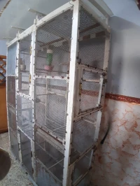 Cage volière pour élevage d'oiseaux 2m
