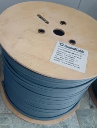 câble réseau