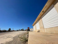 hangar-location-oran-ain-el-bia-algerie