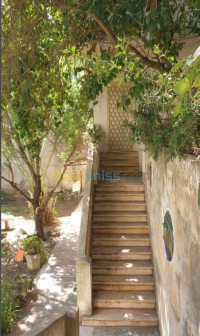 studio-location-alger-bouzareah-algerie