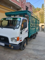 camion-hyundai-hd65-2016-bouandas-setif-algerie