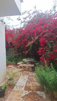 villa-sell-oran-ain-el-turck-algeria