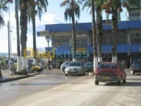 Vente Local Skikda Skikda