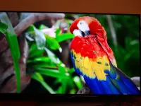 Tv 65 pouce smart 4k UHD HDR .QUAD HD