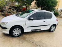 voitures-peugeot-206-2000-rouached-mila-algerie