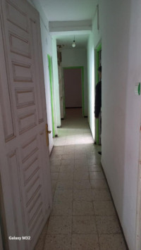 appartement-vente-f4-mila-telerghma-algerie