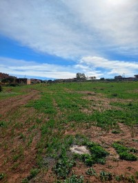 terrain-vente-tlemcen-honaine-algerie