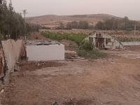 terrain-agricole-vente-tlemcen-ain-youcef-algerie