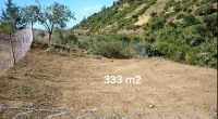 Vente Terrain Tipaza Cherchell