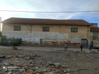 hangar-vente-blida-el-affroun-algerie