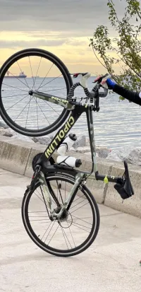 Velo course CIPOLLINI NK1K