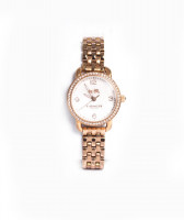 femmes-montre-ladies-coach-delancey-original-watch-14502479-hydra-alger-algerie