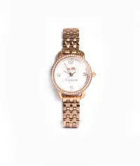 Montre Ladies Coach Delancey Original Watch 14502479