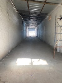 محل-كراء-الجزائر-الكاليتوس