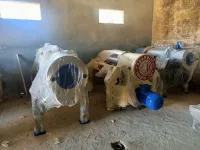 Decanters et Séparateurs Pieralisi et Rapanelli en vente en Algérie