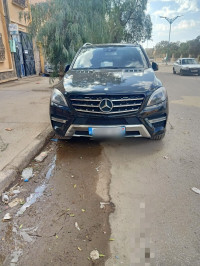 voitures-mercedes-ml-2013-250-cdi-pack-amg-tamanrasset-algerie