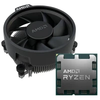 CPU RYZEN 5 8600 G MPK