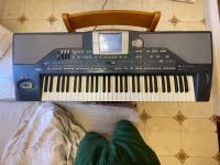آلات-كهربائية-korg-pa800-مستغانم-الجزائر