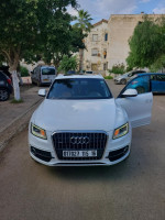 voitures-audi-q5-2015-ain-taya-alger-algerie