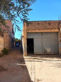 hangar-vente-tlemcen-algerie