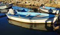 barques-barque-480mmoteur-hideaplace-tipaza-algerie