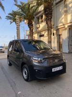 voitures-fiat-fait-doblo-2024-les-eucalyptus-alger-algerie