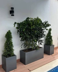 Décoration de jardin 