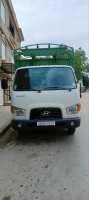 camion-hyundai-hd65-2012-sidi-ali-mostaganem-algerie