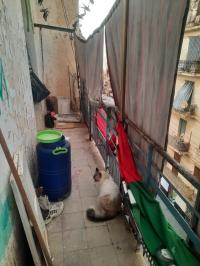 شقة-بيع-4-غرف-الجزائر-باب-الواد