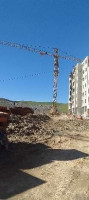 materiaux-de-construction-vente-grue-a-tour-potain-et-chinoise-bordj-el-kiffan-alger-algerie