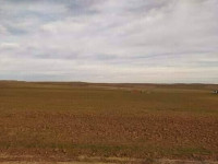 terrain-agricole-vente-tiaret-ain-kermes-algerie