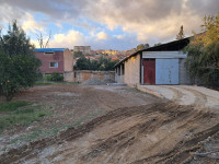 hangar-location-bejaia-akbou-algerie