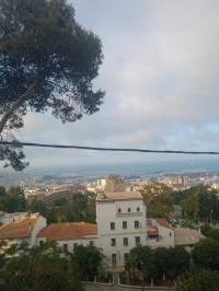 Location Appartement F3 Alger El mouradia