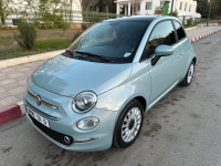 voitures-fiat-500-2023-club-tlemcen-algerie