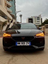 voitures-cupra-leon-2023-alger-centre-algerie